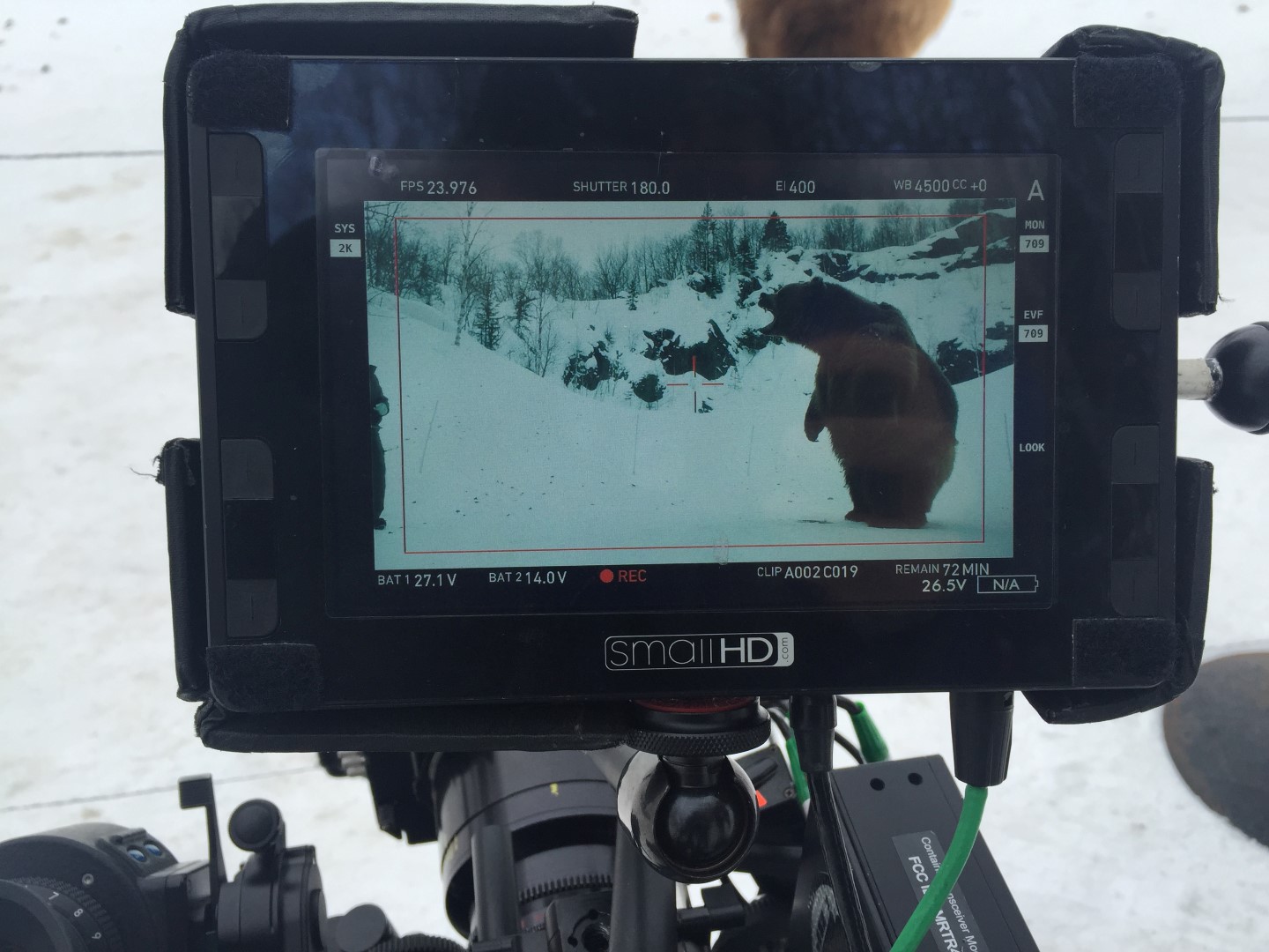 Vikings Behind Scenes Bear Fight